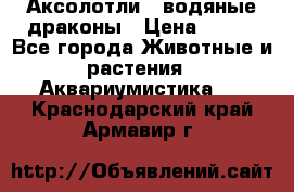 Аксолотли / водяные драконы › Цена ­ 500 - Все города Животные и растения » Аквариумистика   . Краснодарский край,Армавир г.